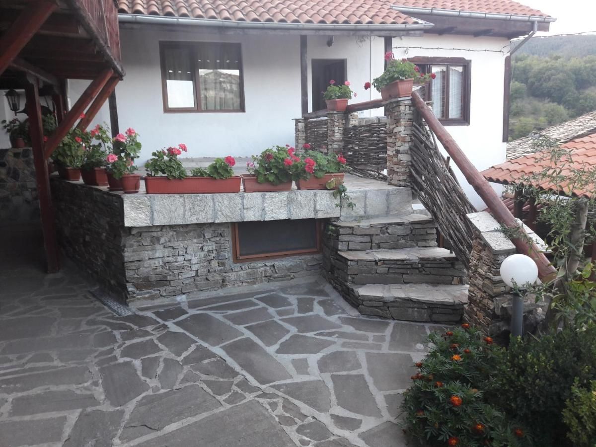 Гостевой дом Sharkova Guest House Dolen-13